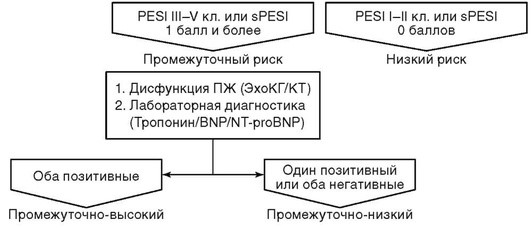 Шкала pesi при тэла. Pesi шкала Тэла. Индекс pesi при Тэла. Шкала pesi при Тэла калькулятор. Индекс pesi для прогноза Тэла.