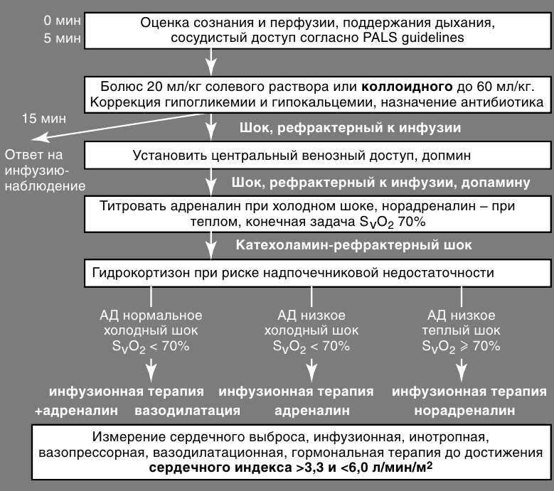 Алгоритм действий анафилактический